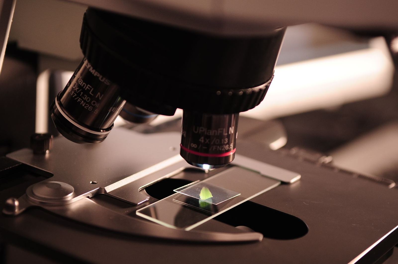 quality control microscope