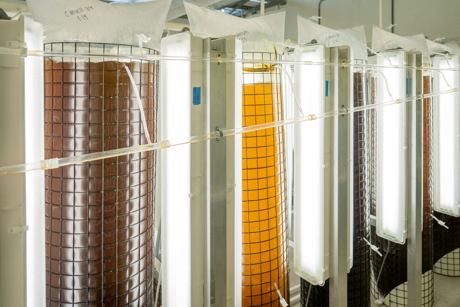 GMP manufacturing tanks